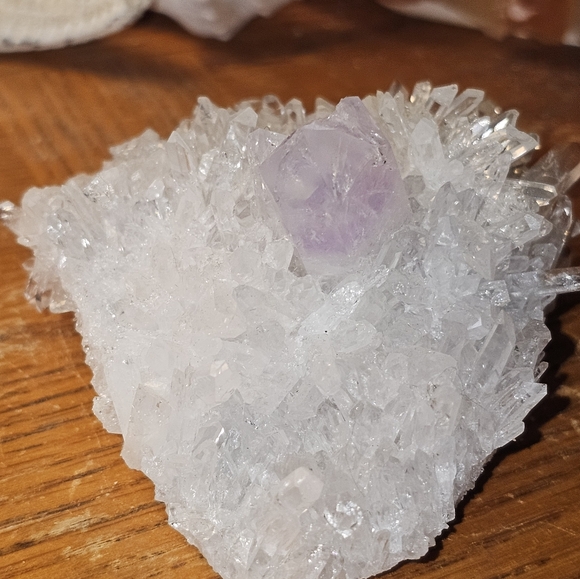 chrysanthemum amethyst cluster - Picture 5 of 9